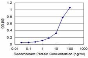 Detection limit for recombinant GST tagged MYL5 is approximately 3ng/ml as a capture antibody. (MYL5 抗体  (AA 4-96))