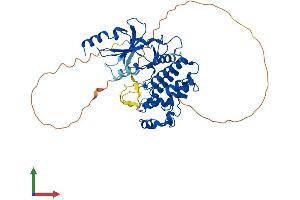 Protein Structure (PS) image for Cyclin-Dependent Kinase 8 (CDK8) (AA 1-464) protein (His tag) (ABIN7553064)