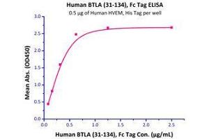 Binding Studies (Bind) image for Tumor Necrosis Factor Receptor Superfamily, Member 14 (TNFRSF14) (AA 39-202) (Active) protein (His tag) (ABIN4949111)
