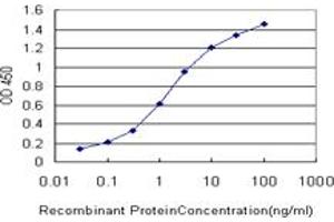 Detection limit for recombinant GST tagged BRAF is approximately 0. (BRAF 抗体  (AA 346-445))