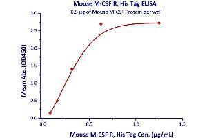 Binding Studies (Bind) image for Colony Stimulating Factor 1 Receptor (CSF1R) (AA 20-511) (Active) protein (His tag) (ABIN4949179)