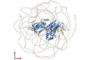 Protein Structure (PS) image for rho Guanine Nucleotide Exchange Factor (GEF) 5 (ARHGEF5) (AA 1-1597) protein (His tag) (ABIN7552205)