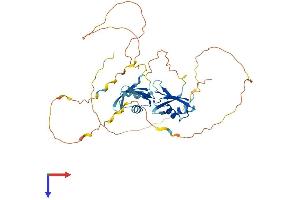 DAZAP1 Protein (AA 1-406) (His tag)