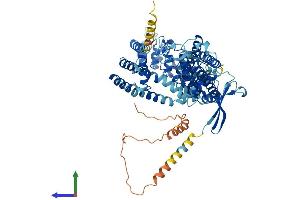 Protein Structure (PS) image for Transient Receptor Potential Cation Channel, Subfamily V, Member 5 (TRPV5) (AA 1-723) protein (His tag) (ABIN7563509)