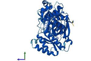 Protein Structure (PS) image for Galactokinase 2 (GALK2) (AA 1-458) protein (His tag) (ABIN7557882)