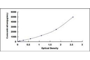 Typical standard curve (MMRN2 ELISA 试剂盒)