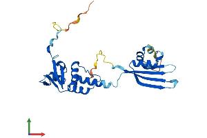 AlphaFold protein structure predicition of Human Recombinant KCTD1 Protein, UniprotID Q719H9