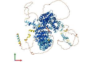 AlphaFold protein structure predicition of Mouse Recombinant Sf3b1 Protein, UniprotID Q99NB9