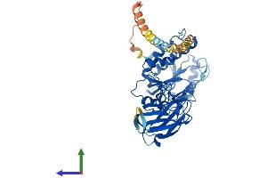 Protein Structure (PS) image for Mannosyl (Alpha-1,3-)-Glycoprotein beta-1,4-N-Acetylglucosaminyltransferase, Isozyme C (MGAT4C) (AA 1-478) protein (His tag) (ABIN7560936)