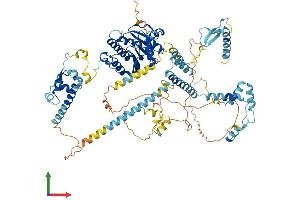 Protein Structure (PS) image for FtsJ Homolog 3 (FTSJ3) (AA 1-838) protein (His tag) (ABIN7561278)