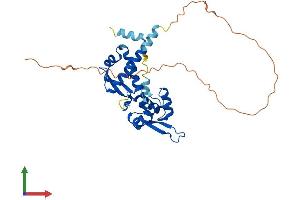 Protein Structure (PS) image for Melanoma Antigen Family A, 1 (Directs Expression of Antigen MZ2-E) (MAGEA1) (AA 1-309) protein (His tag) (ABIN7549174)
