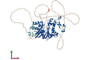 AlphaFold protein structure predicition of Human Recombinant PANK1 Protein, UniprotID Q8TE04