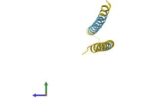 Protein Structure (PS) image for Neuronatin (NNAT) (AA 1-81) protein (Fc Tag) (ABIN7557749)