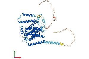 Protein Structure (PS) image for phosphatidylserine Synthase 2 (PTDSS2) (AA 1-487) protein (His tag) (ABIN7551111)