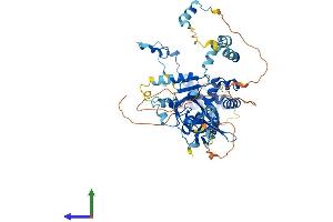 Protein Structure (PS) image for Metastasis Associated 1 Family, Member 3 (MTA3) (AA 1-591) protein (His tag) (ABIN7560256)