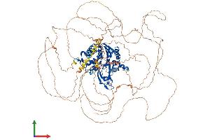Protein Structure (PS) image for Ubiquitin Specific Peptidase 53 (USP53) (AA 1-1069) protein (His tag) (ABIN7562898)