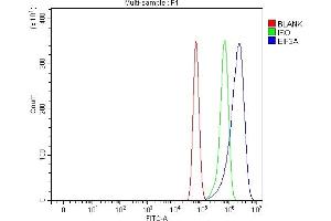 Flow Cytometry analysis of U87 cells using anti-EIF3A antibody (ABIN7599942). (EIF3A 抗体  (AA 13-477))