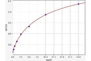 Leukotriene B4 Receptor/BLT ELISA 试剂盒