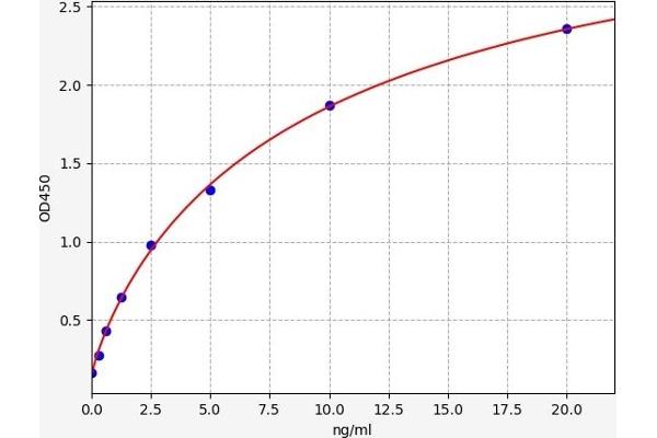 Leukotriene B4 Receptor/BLT ELISA 试剂盒