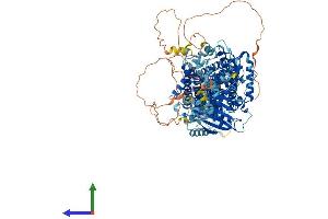 Protein Structure (PS) image for Solute Carrier Family 12 (Potassium-Chloride Transporter) Member 5 (SLC12A5) (AA 1-1138) protein (His tag) (ABIN7564778)