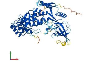 Protein Structure (PS) image for Antizyme Inhibitor 1 (AZIN1) (AA 1-448) protein (His tag) (ABIN7552499)