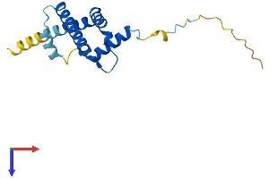 ARL2BP Protein (AA 1-163) (His tag)