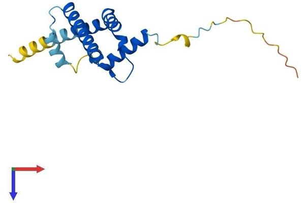 ARL2BP Protein (AA 1-163) (His tag)
