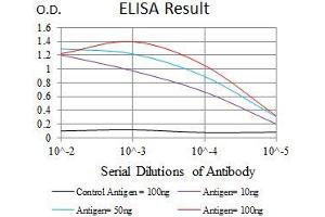 Black line: Control Antigen (100 ng), Purple line: Antigen(10 ng), Blue line: Antigen (50 ng), Red line: Antigen (100 ng), (KLF1 抗体  (AA 208-362))