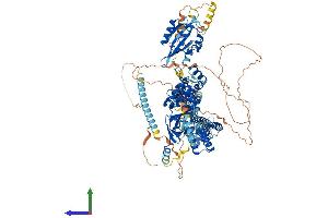 AlphaFold protein structure predicition of Mouse Recombinant Kcnh5 Protein, UniprotID Q920E3 (KCNH5 Protein (AA 1-988) (His tag))