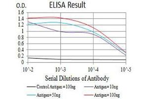 Black line: Control Antigen (100 ng),Purple line: Antigen (10 ng), Blue line: Antigen (50 ng), Red line:Antigen (100 ng) (PAR1 抗体  (AA 42-176))