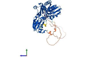 AlphaFold protein structure predicition of Mouse Recombinant Dph1 Protein, UniprotID Q5NCQ5