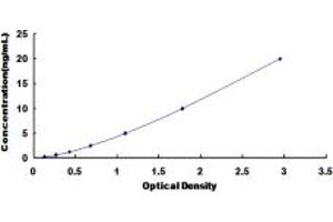 Typical standard curve (DLG3 ELISA 试剂盒)
