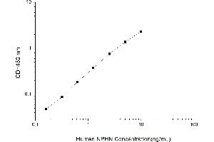 Typical standard curve (Nephrin ELISA 试剂盒)