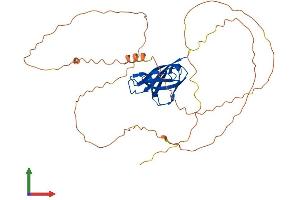 Protein Structure (PS) image for Starch Binding Domain 1 (STBD1) (AA 1-358) protein (His tag) (ABIN7546421)