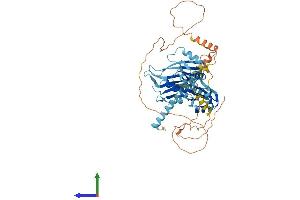 Protein Structure (PS) image for Poly-U Binding Splicing Factor 60KDa (PUF60) (AA 1-559) protein (His tag) (ABIN7555105)