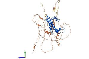 Protein Structure (PS) image for Nuclear Transcription Factor Y, gamma (NFYC) (AA 1-458) protein (His tag) (ABIN7549806)