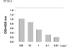 Image no. 5 for Epidermal Growth Factor Receptor (EGFR) ELISA Kit (ABIN625225)