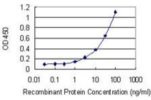 Detection limit for recombinant GST tagged SPDEF is 0. (SPDEF/PSE 抗体  (AA 92-200))