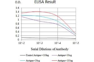 Black line: Control Antigen (100 ng),Purple line: Antigen (10 ng), Blue line: Antigen (50 ng), Red line:Antigen (100 ng) (BTLA 抗体  (AA 31-157))