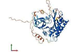 Protein Structure (PS) image for Inositol Hexakisphosphate Kinase 3 (IP6K3) (AA 1-396) protein (His tag) (ABIN7558958)