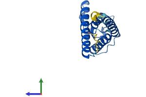 Protein Structure (PS) image for SYS1 Golgi-Localized Integral Membrane Protein Homolog (SYS1) (AA 1-156) protein (His tag) (ABIN7558178)