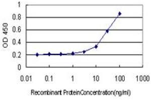Detection limit for recombinant GST tagged NR0B1 is approximately 1ng/ml as a capture antibody. (NR0B1 抗体  (AA 361-470))