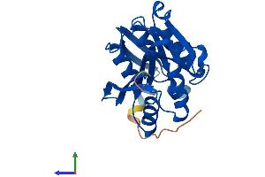 Protein Structure (PS) image for Family With Sequence Similarity 119A (FAM119A) (AA 1-218) protein (His tag) (ABIN7549520)