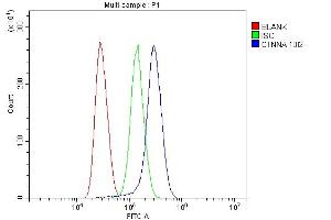 Flow Cytometry analysis of Jurkat cells using anti-CTNNA1 antibody (ABIN7600057).