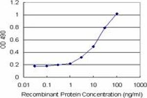 ARHGDIA (Human) Matched Antibody Pair