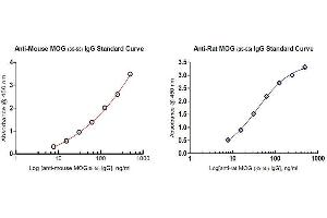 ELISA image for Anti-MOG IgG ELISA Kit (ABIN1882535) (Anti-MOG IgG ELISA 试剂盒)