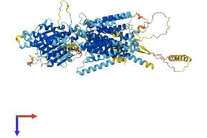 PIGO Protein (AA 1-1089) (His tag)