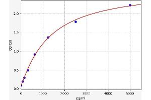 Typical standard curve (NFE2L1 ELISA 试剂盒)