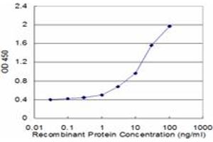 Detection limit for recombinant GST tagged USP9Y is approximately 1ng/ml as a capture antibody. (USP9Y 抗体  (AA 3-90))