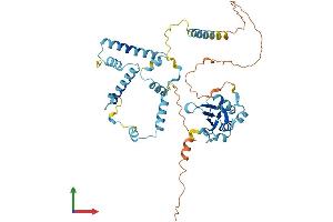 Protein Structure (PS) image for RNA Binding Motif Protein 41 (RBM41) (AA 1-413) protein (His tag) (ABIN7551240)